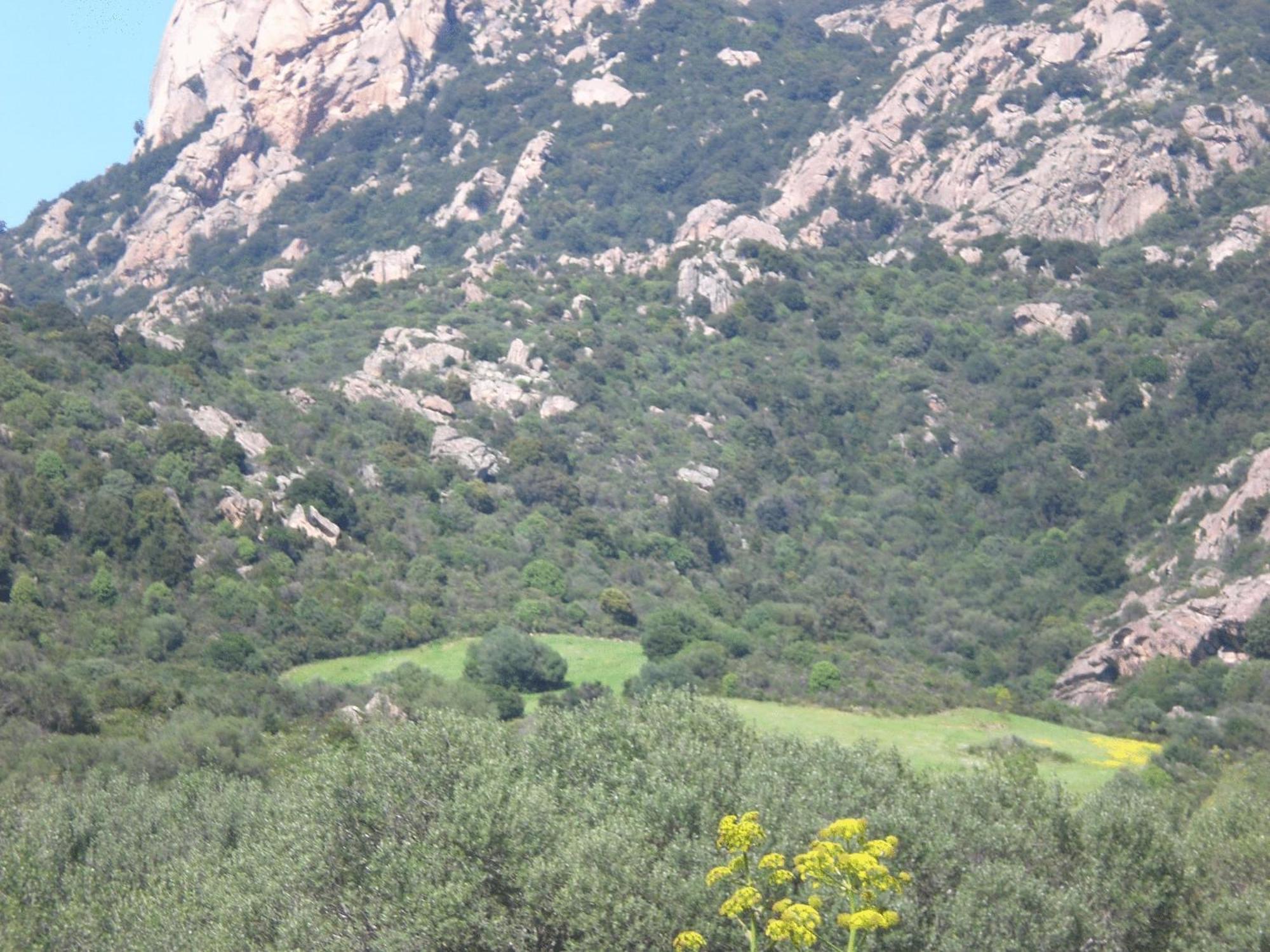 Turismo Rurale Montitundu * Portisco